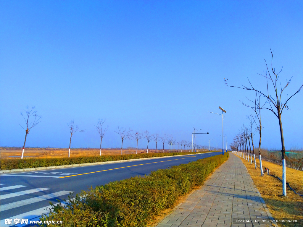 深秋时节的道路风景