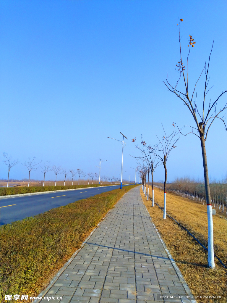 深秋时节的道路风景