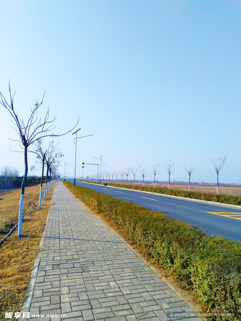 深秋时节的道路风景