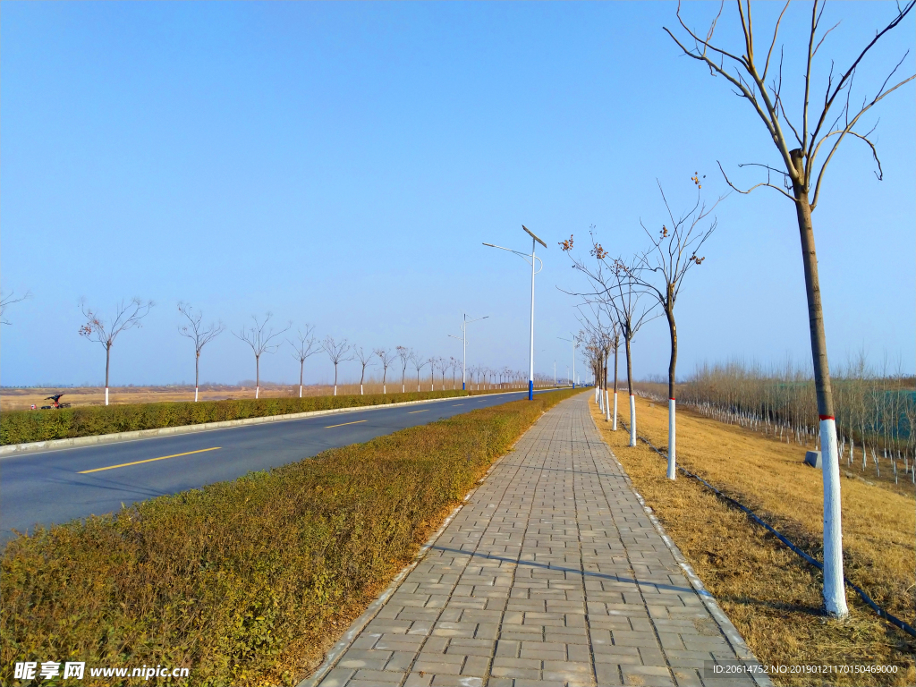 深秋时节的道路风景