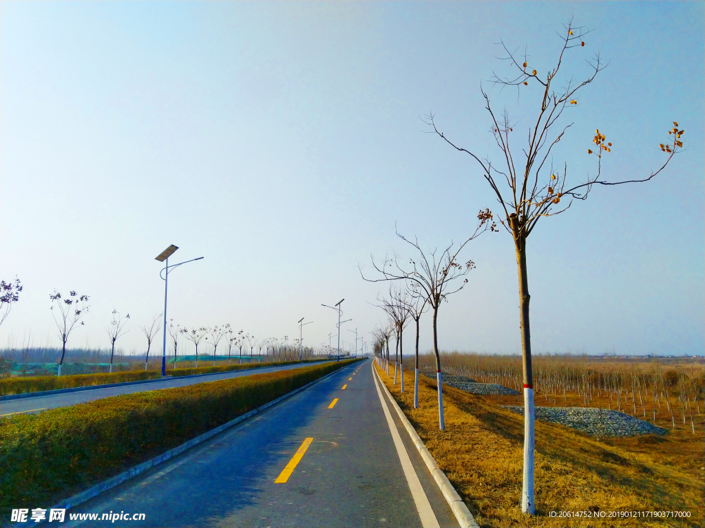美丽的乡村道路风景