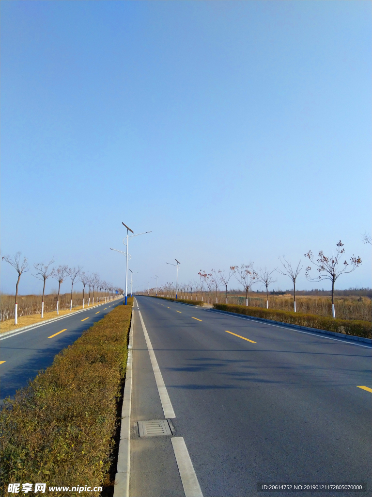 美丽的乡村道路风景