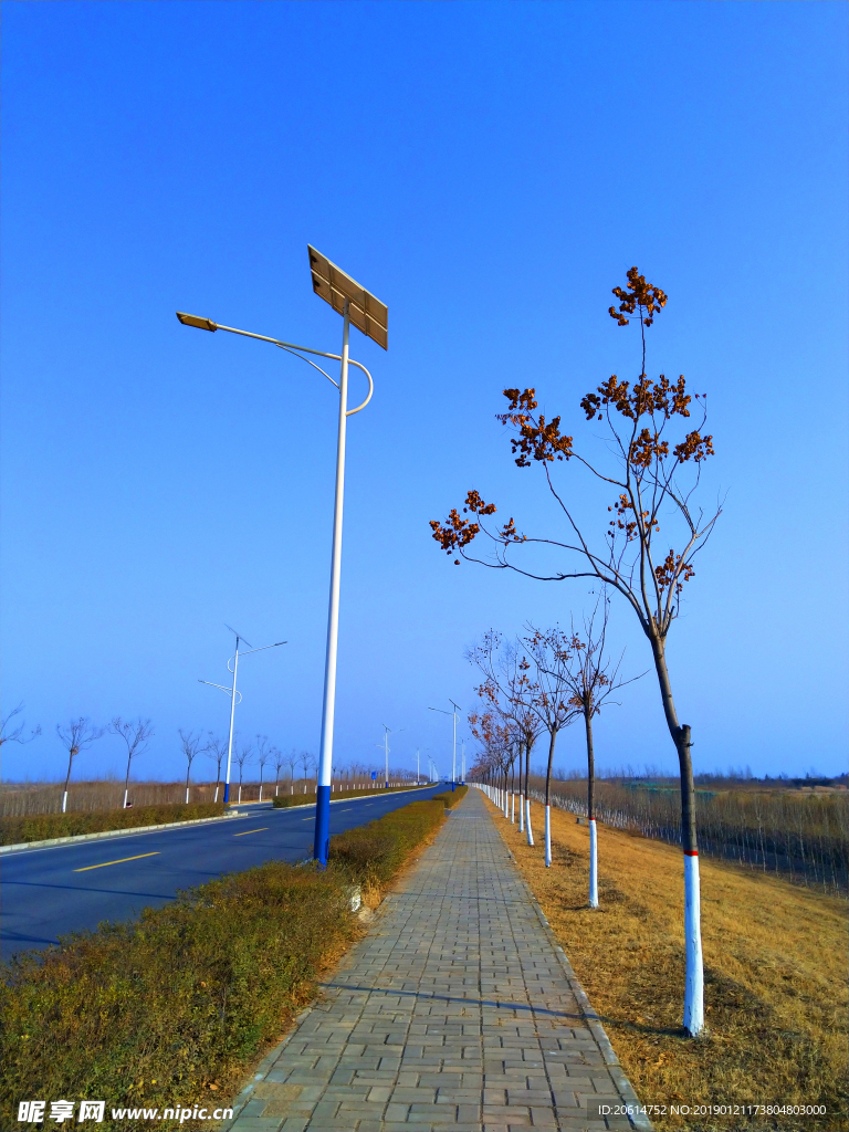 深秋时节的道路风景