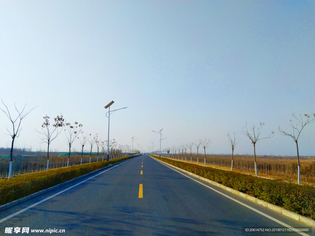 深秋时节的道路风景