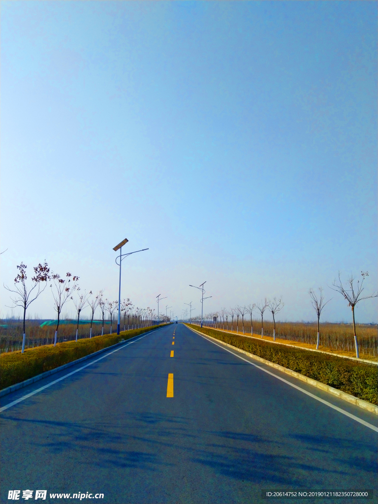 深秋时节的道路风景