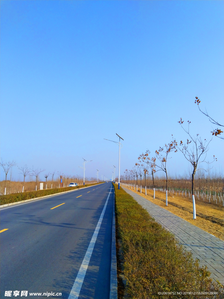 美丽的道路风景