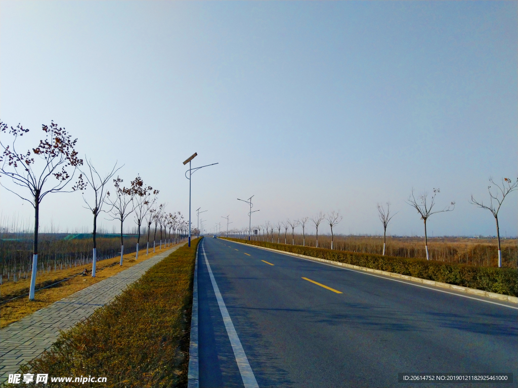 美丽的道路风景