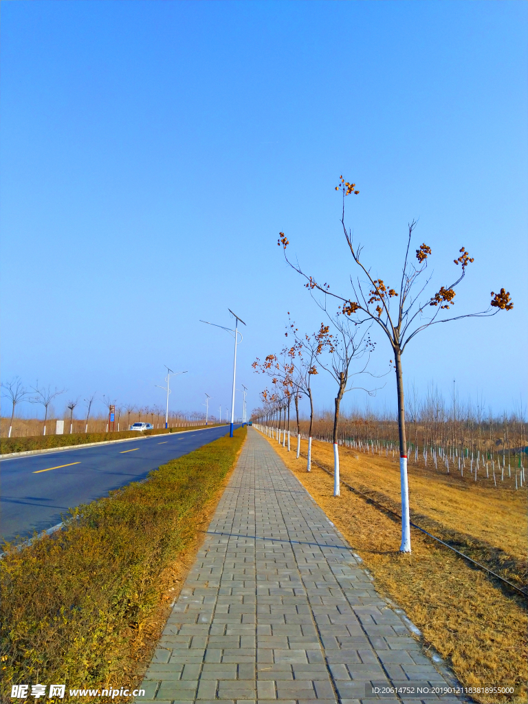 深秋时节的道路风景