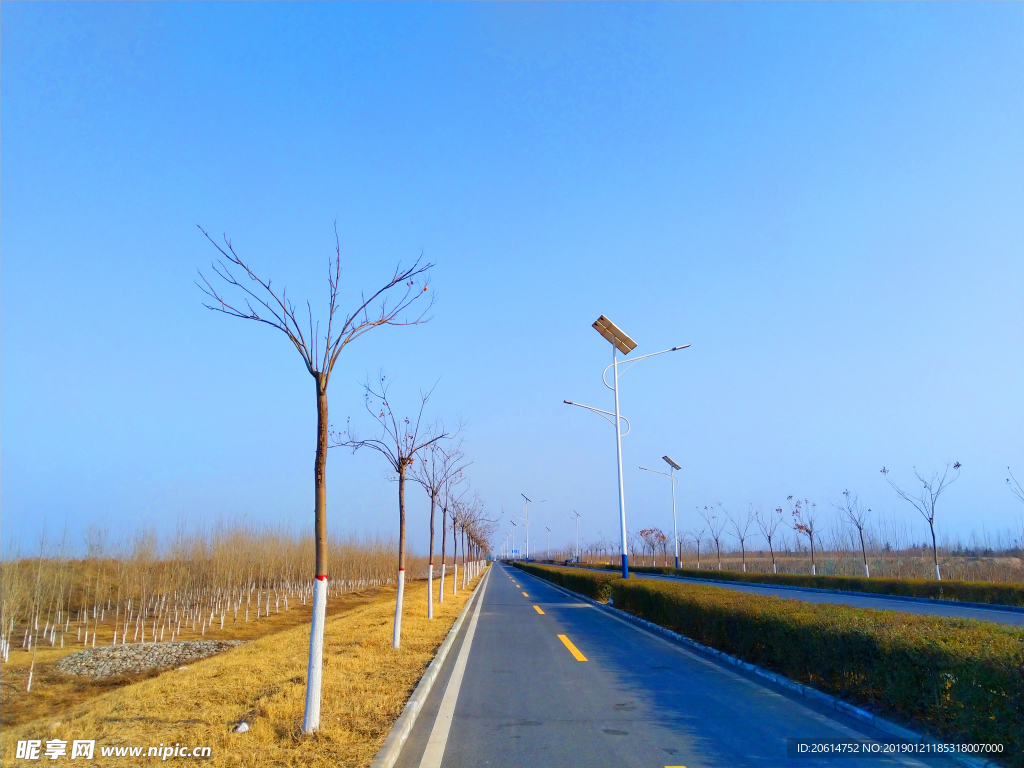 美丽的乡村道路风景