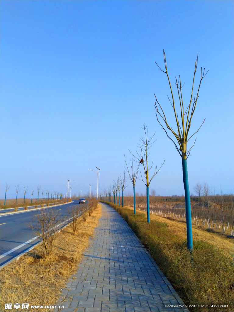 深秋时节的道路风景