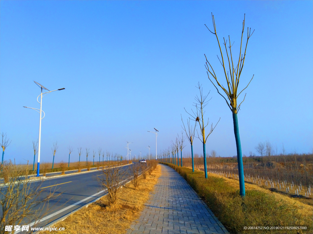 深秋时节的道路风景