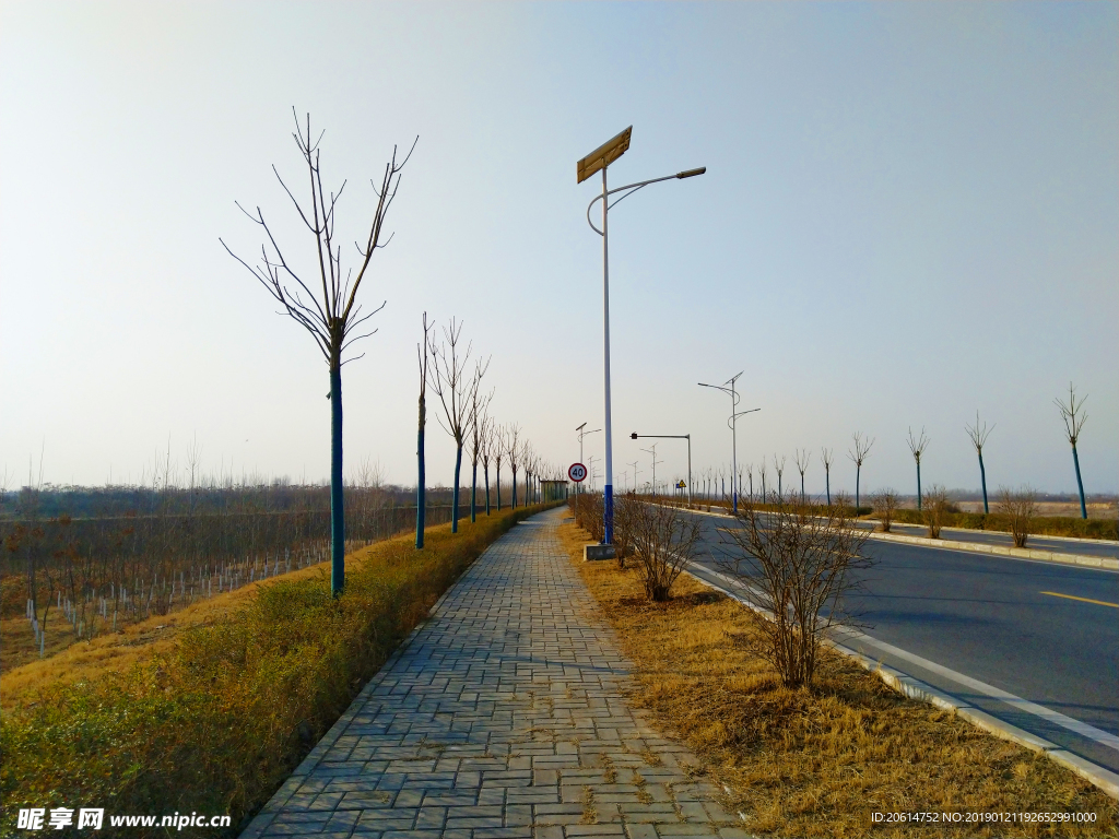 深秋时节的道路风景