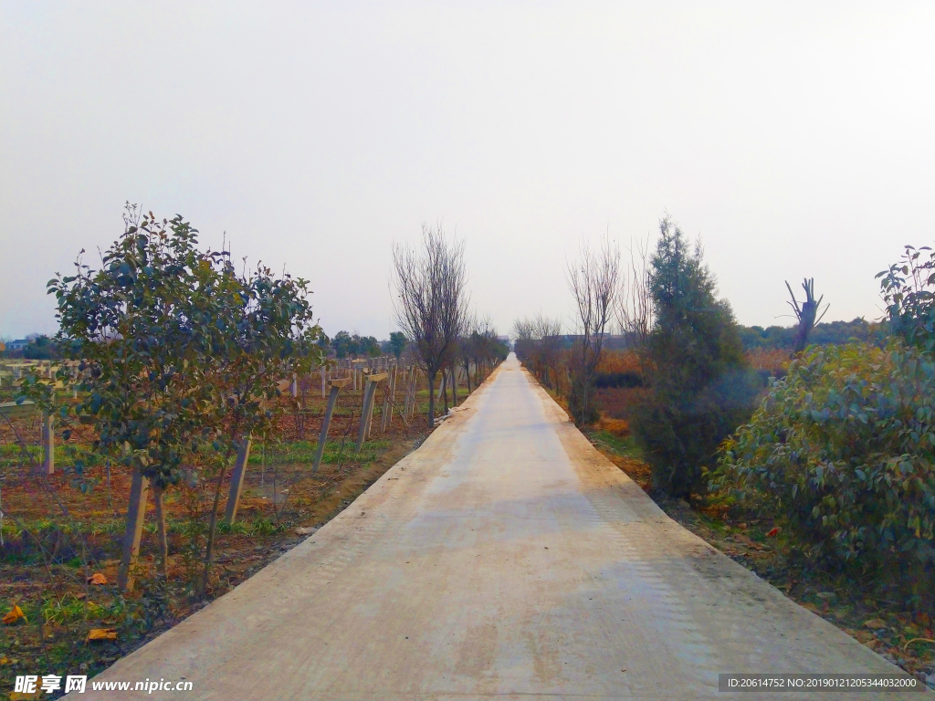 美丽的乡村道路风景