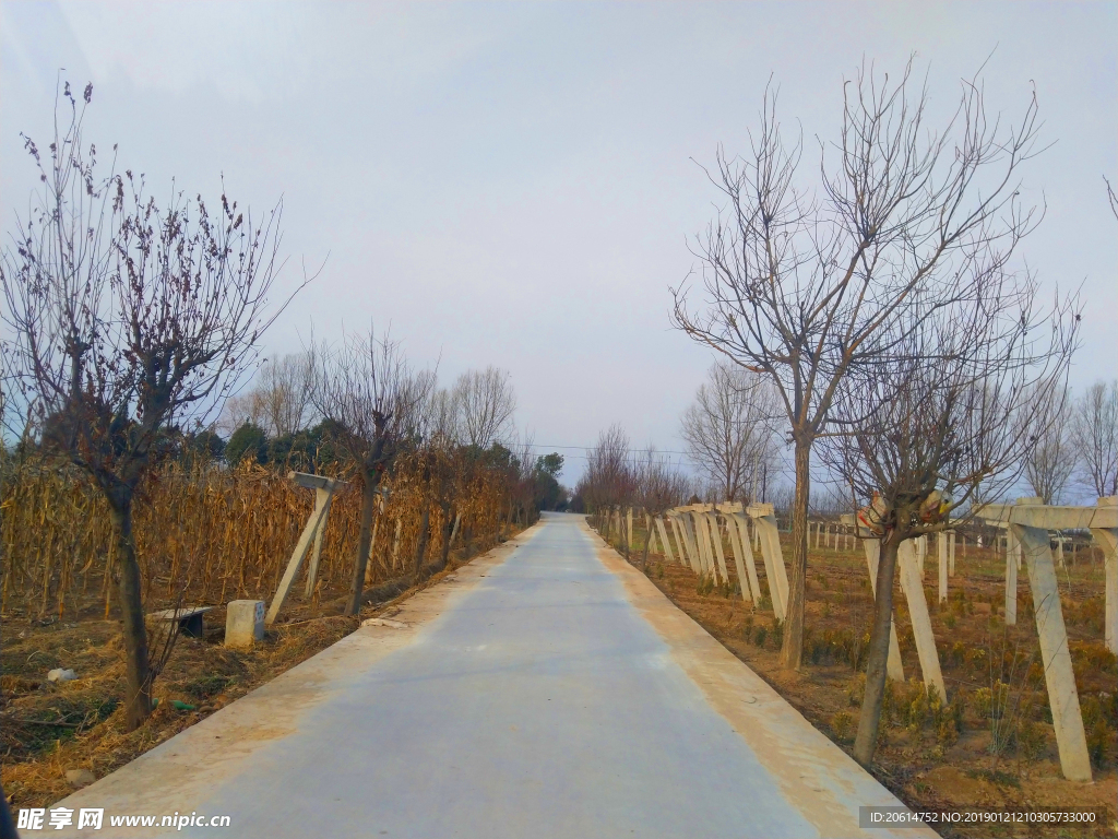 日暮下的乡村道路风景