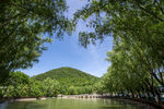 香水河风景