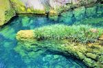 鳄鱼岛