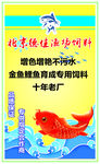 鱼饲料