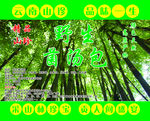 菌汤包
