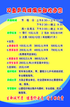 乒乓球俱乐部排版