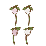 矢量花纹边框AI文件