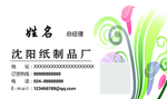 卫生纸名片