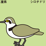 矢量卡通小鸟动物图片