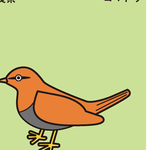 矢量卡通小鸟动物图片