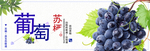 葡萄海报