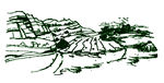 田野