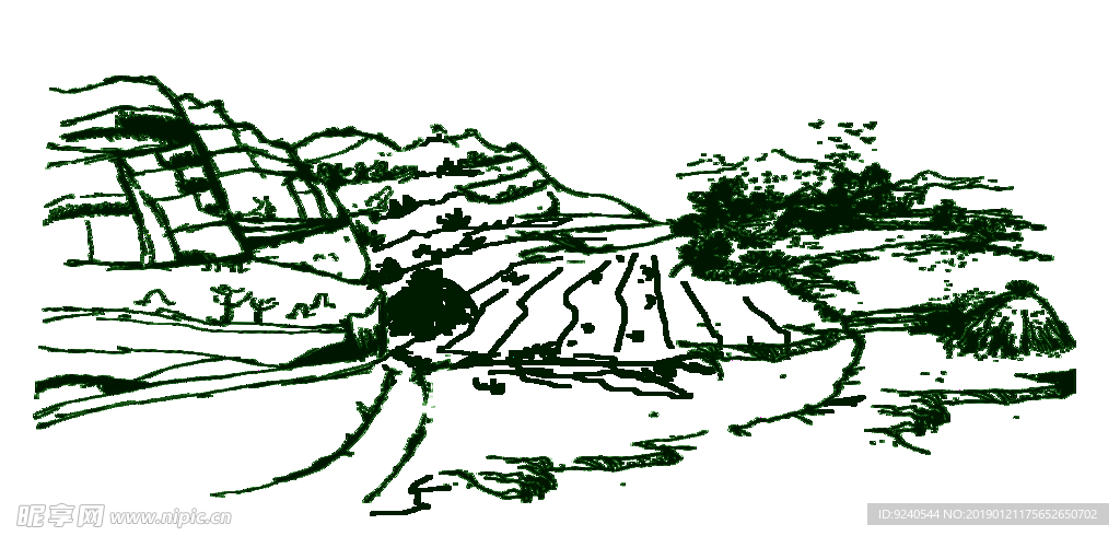 田野