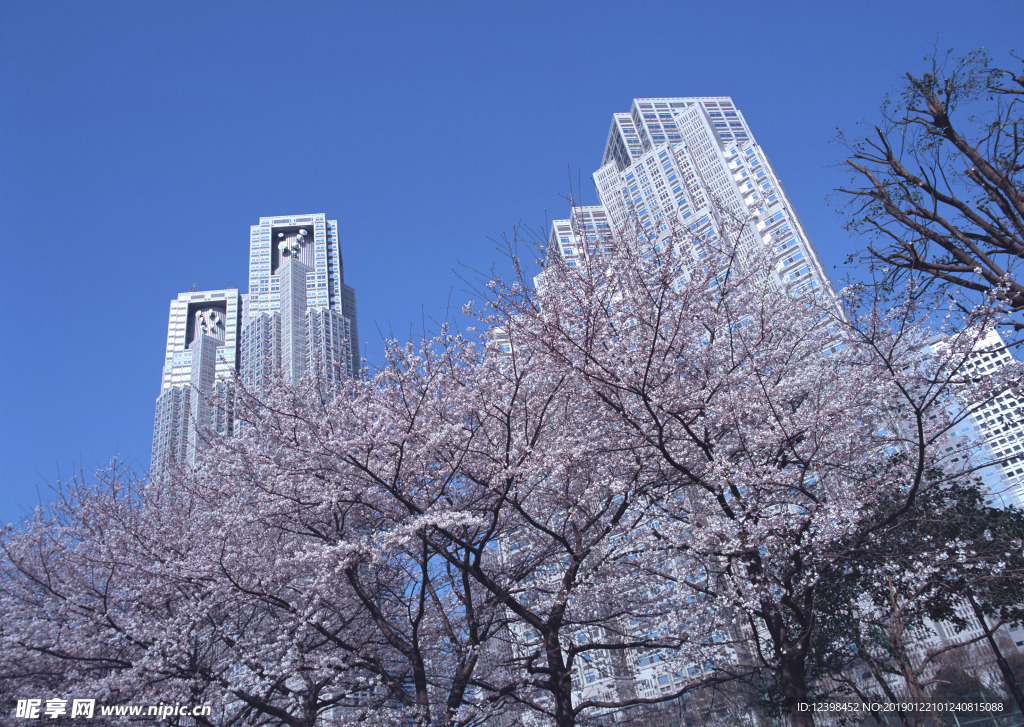 高楼大厦