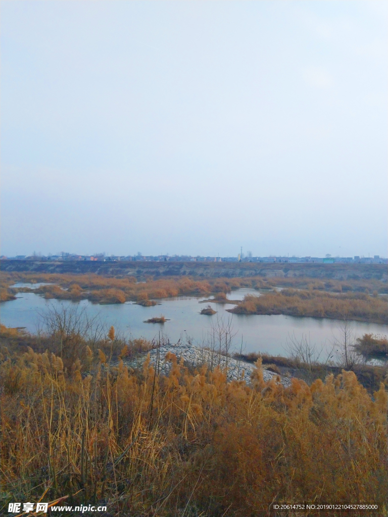美丽的河道风景