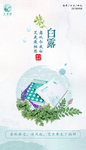 白露节气海报