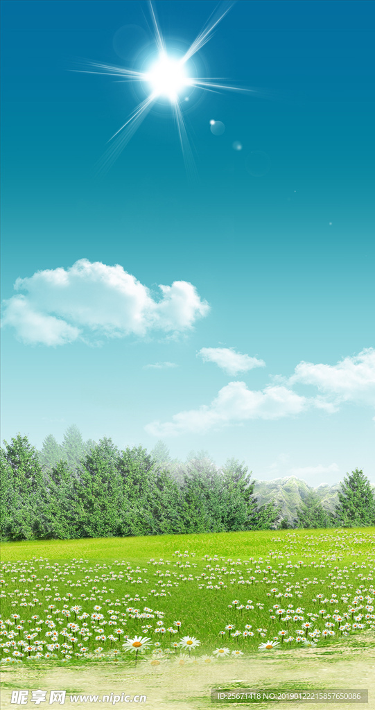 草地背景