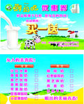 鲜奶吧名片
