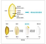 一颗米的营养价值