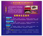 传媒公司招聘海报展架