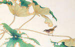 花鸟画
