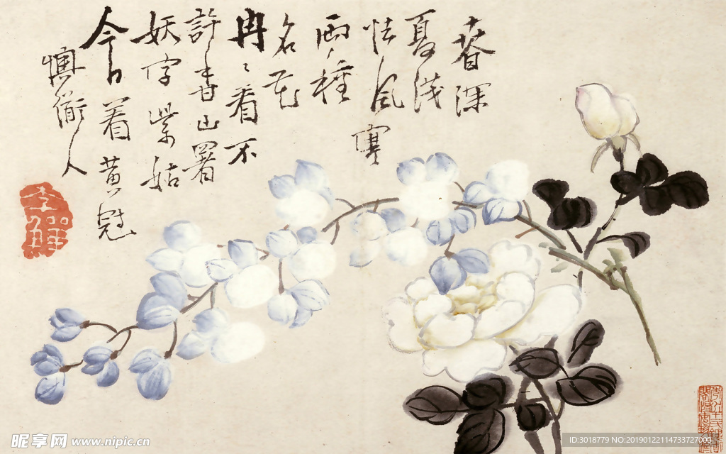 花鸟画