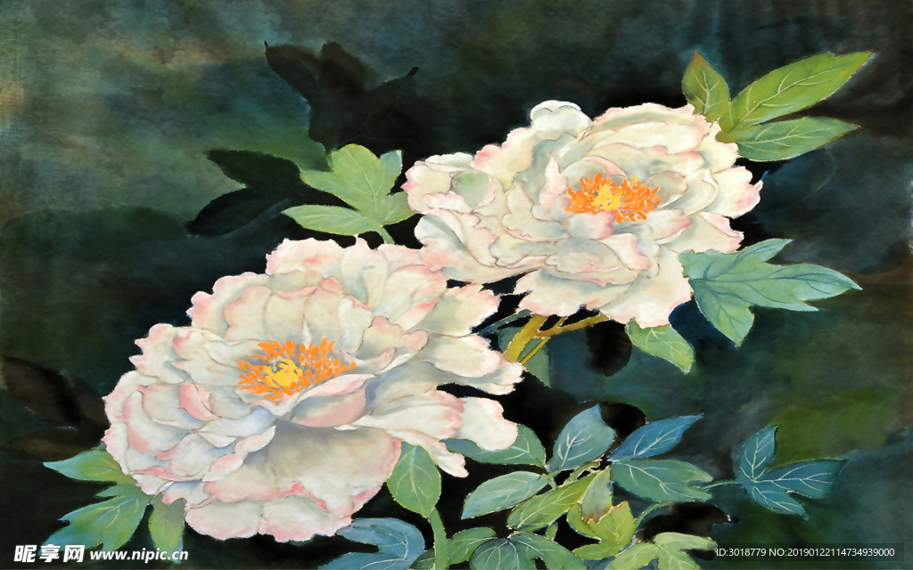 花鸟画