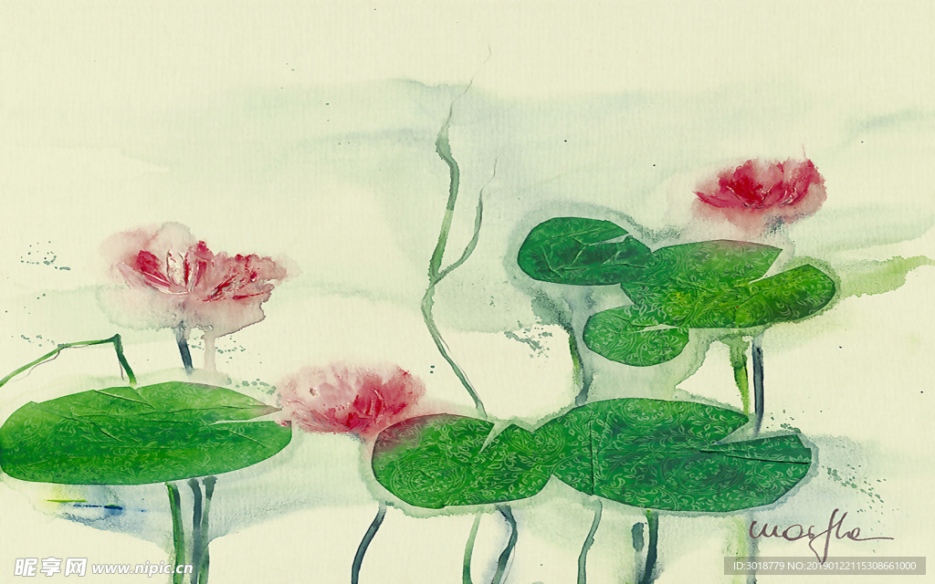荷花