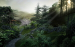 森林阳光