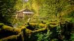 森林小屋