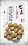中医药巴豆