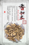 中医药香加皮