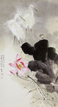 四条屏 荷花 国画荷花 国画