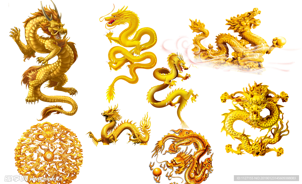 金龙