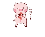 猪