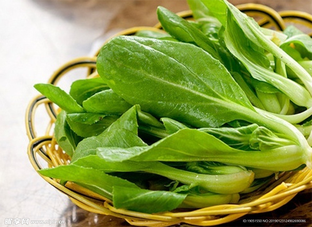 鸡毛菜