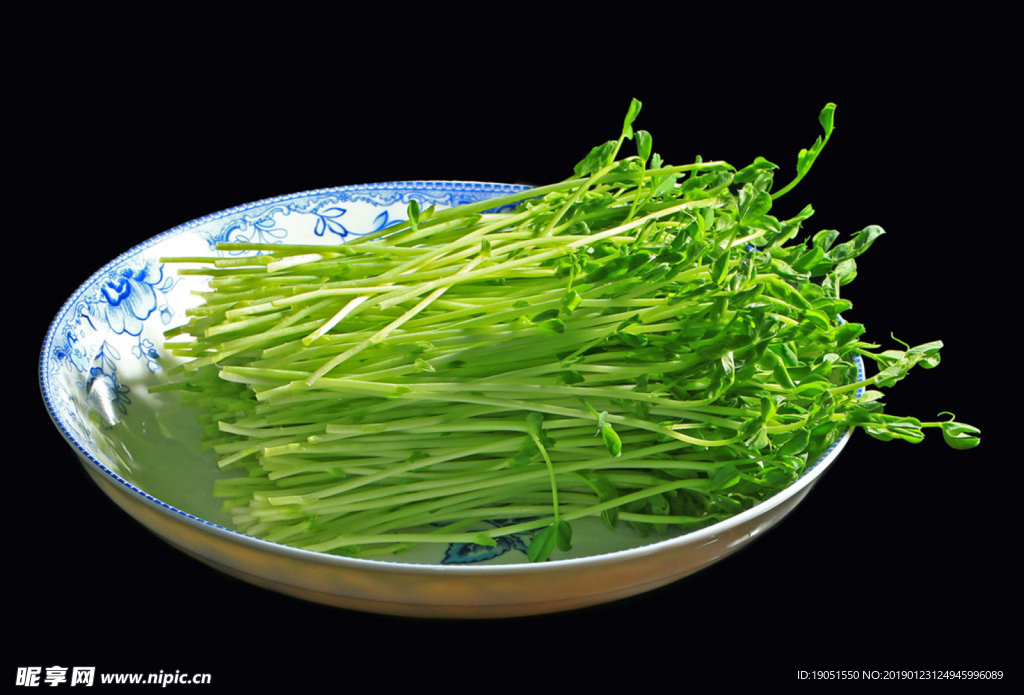 豌豆苗